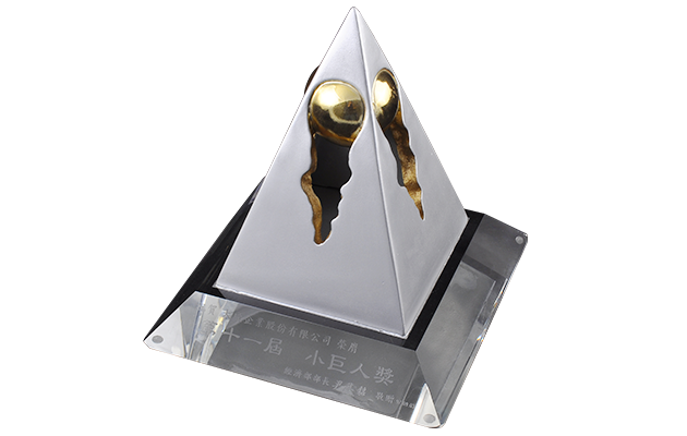 Rising Star Award